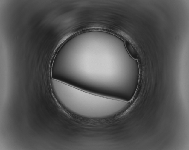 X0000086961129200704161118
