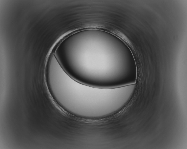 X0000086961132200704161118