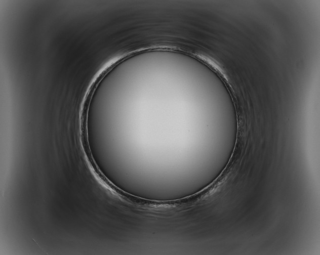 X0000086961135200704161118