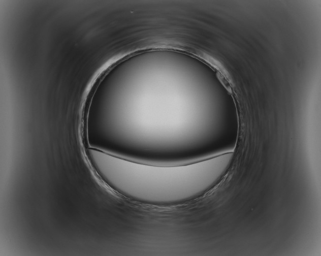 X0000086961136200704161118