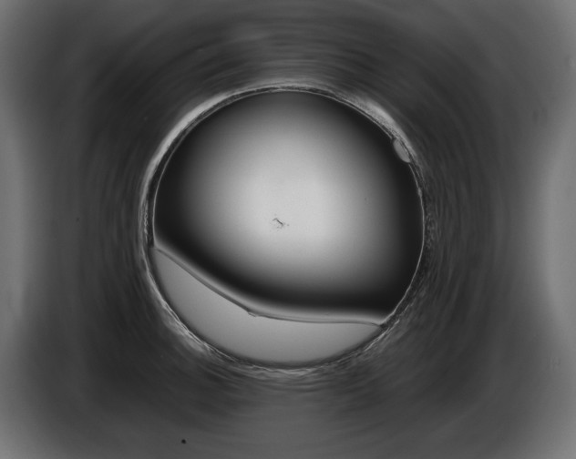 X0000086961140200704161118
