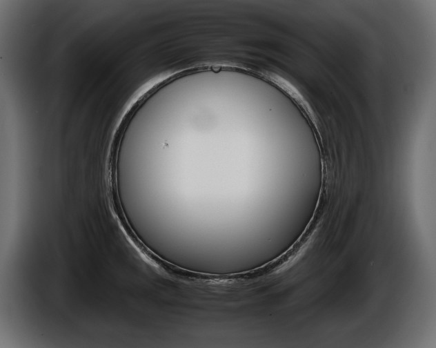 X0000086961141200704161118