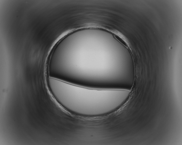 X0000086961142200704161118