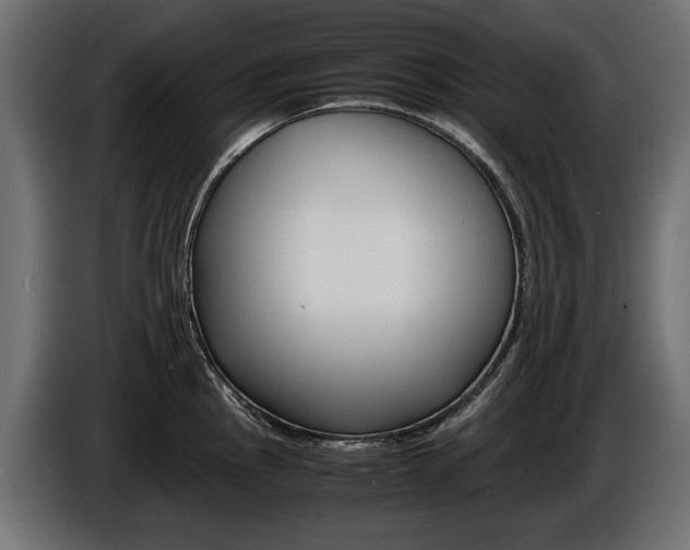 X0000086961145200704161118