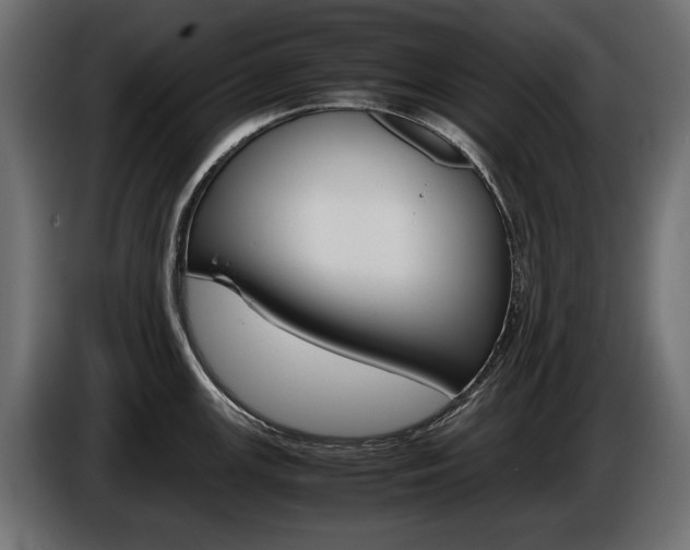 X0000086961147200704161118