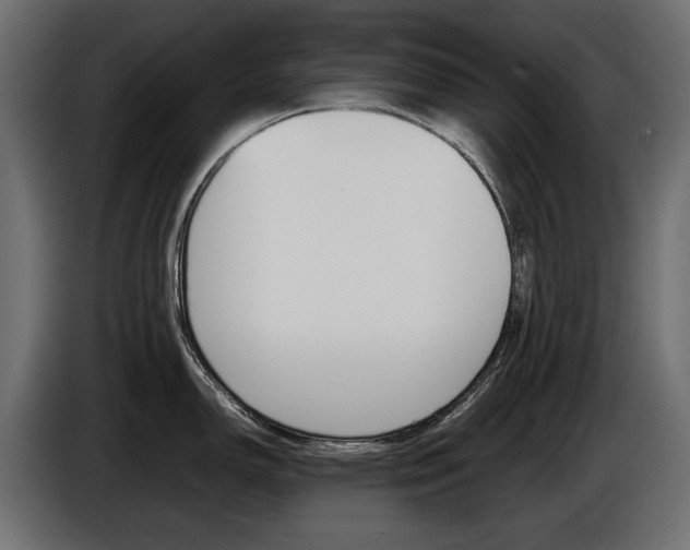 X0000086961150200704161118
