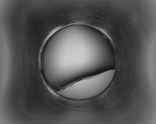 X0000086961151200704161118