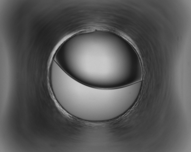 X0000086961152200704161118