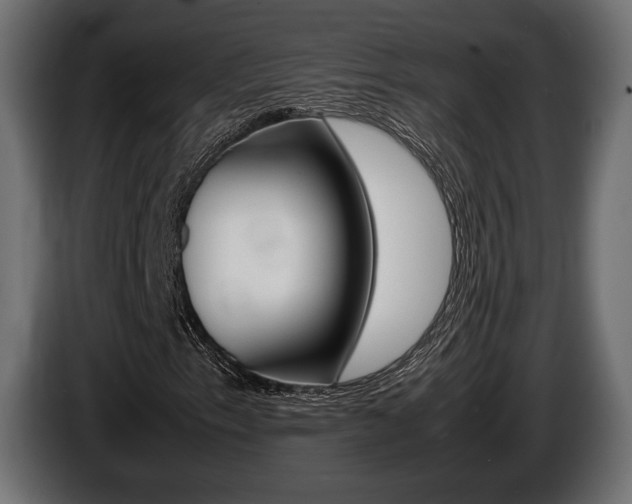X0000086961153200704161117