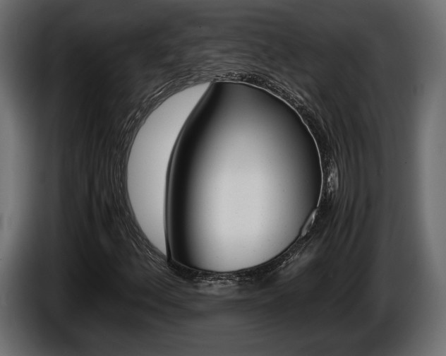 X0000086961156200704161117