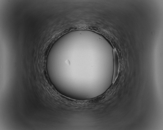 X0000086961157200704161117