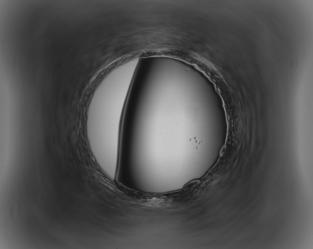 X0000086961160200704161117