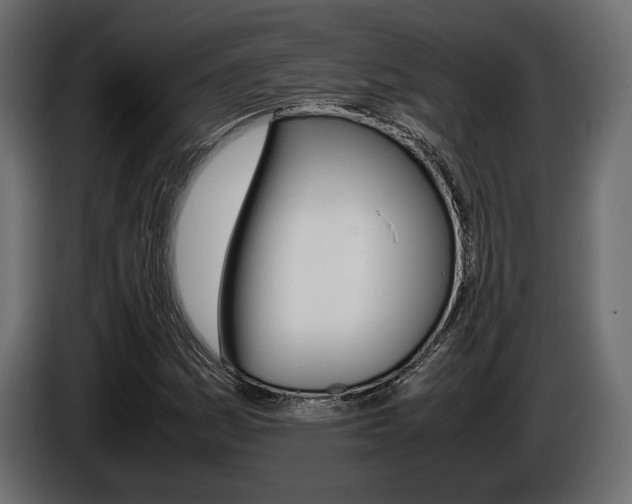 X0000086961161200704161117
