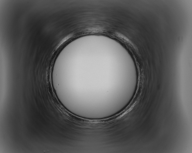 X0000086961162200704161117