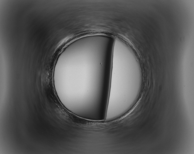 X0000086961163200704161117