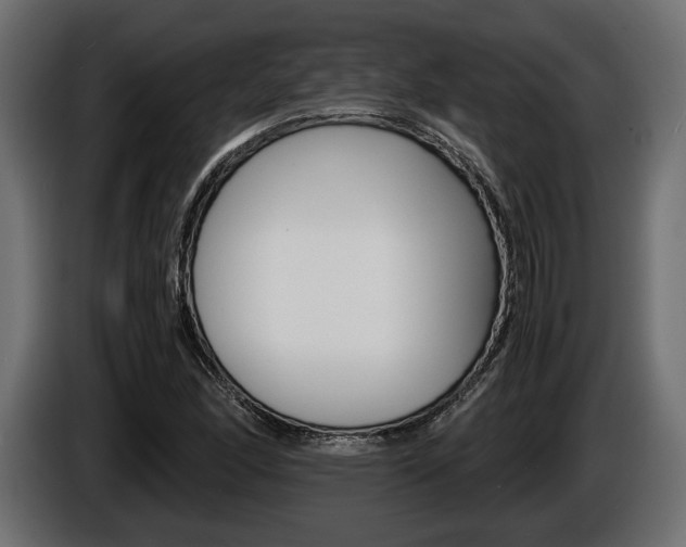 X0000086961166200704161117