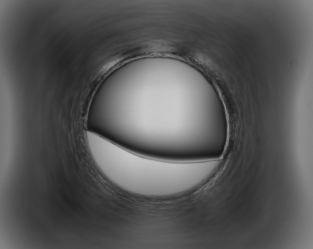 X0000086961169200704161117