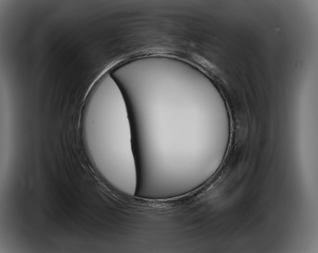 X0000086961170200704161117