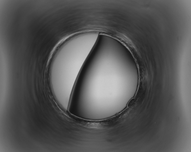X0000086961172200704161117