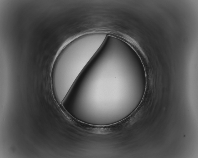 X0000086961176200704161117