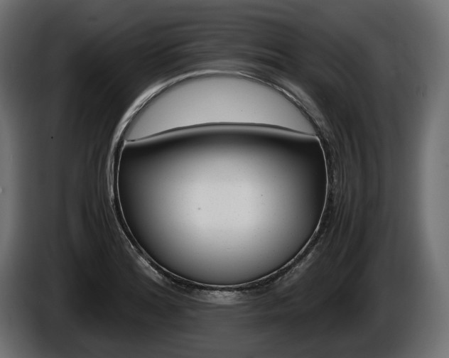 X0000086961180200704161117