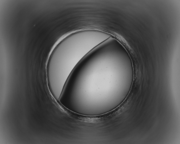 X0000086961184200704161117