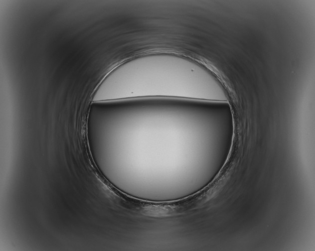 X0000086961185200704161117