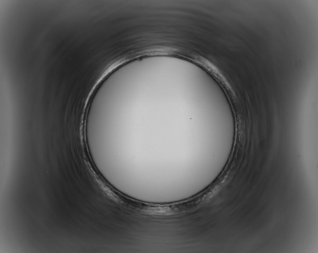 X0000086961186200704161117