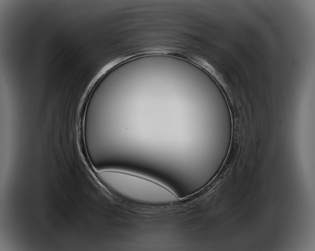 X0000086961187200704161117