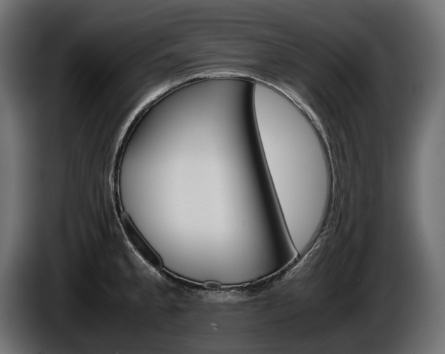 X0000086961189200704161117