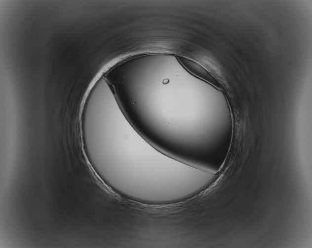 X0000086961192200704161117