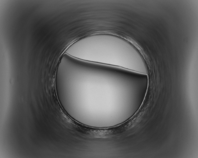 X0000086961193200704161117