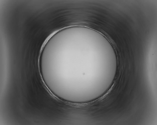 X0000086961196200704161117