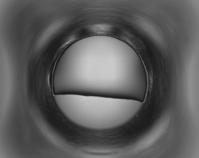 X0000086961198200704161117