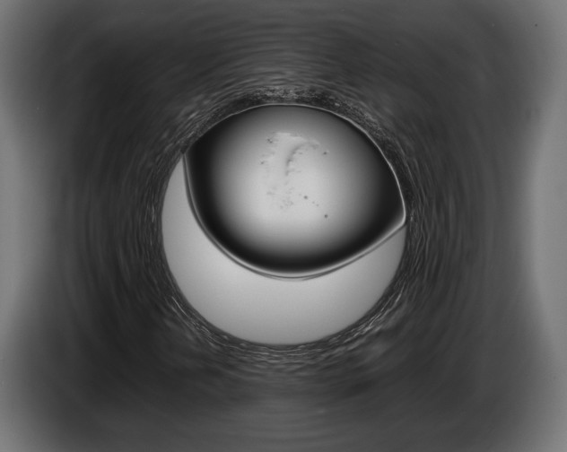 X0000086961202200704161116