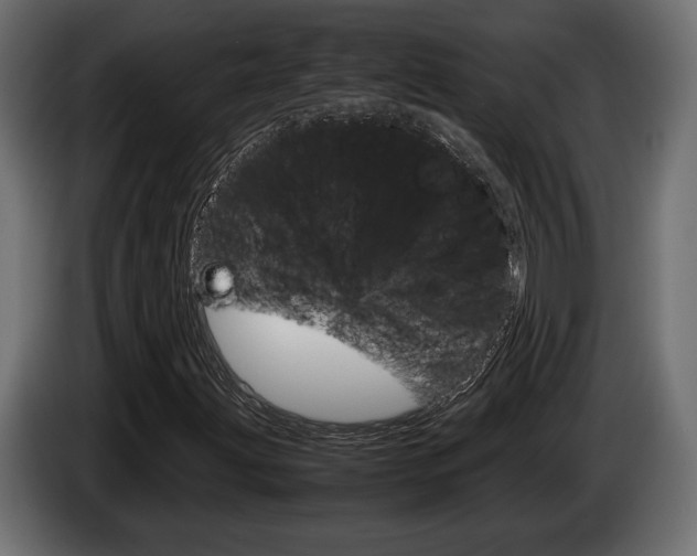 X0000086961203200704161116