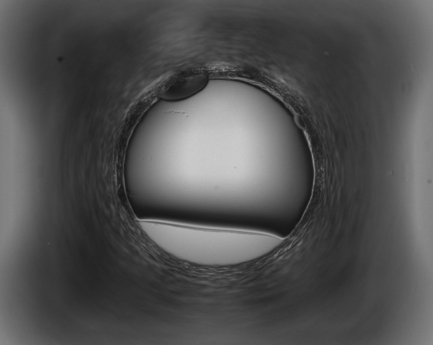 X0000086961205200704161116