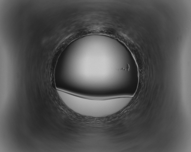 X0000086961206200704161116