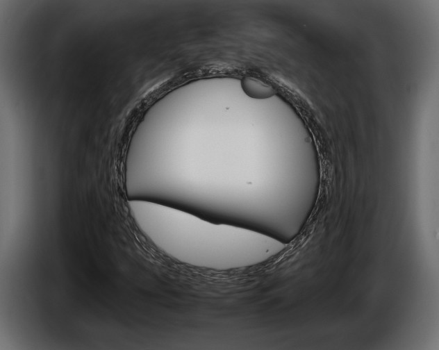 X0000086961207200704161116