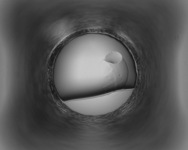 X0000086961208200704161116