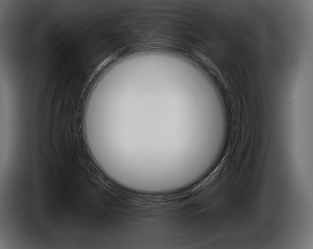 X0000086961210200704161116