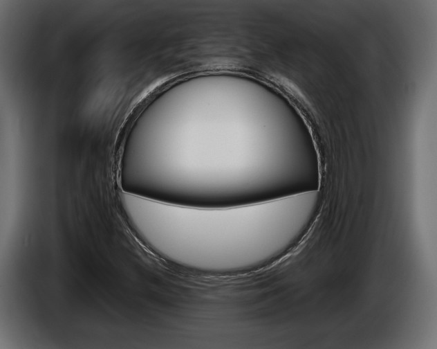 X0000086961212200704161116
