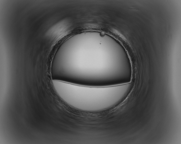 X0000086961213200704161116