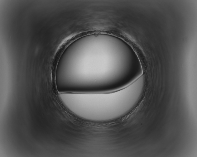 X0000086961214200704161116