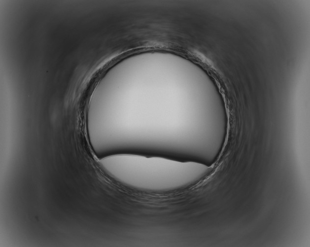 X0000086961215200704161116