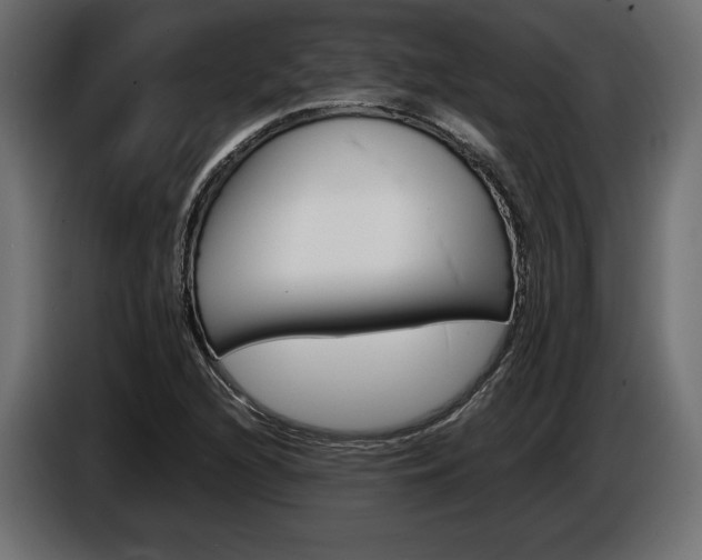 X0000086961216200704161116