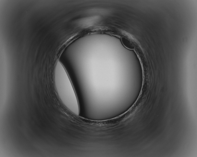 X0000086961217200704161116