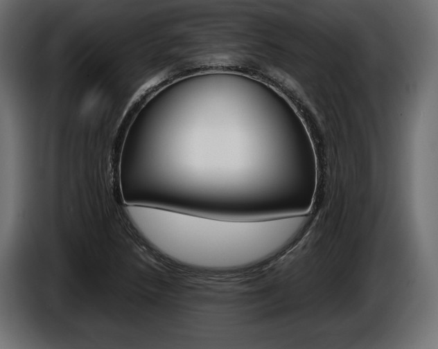 X0000086961218200704161116
