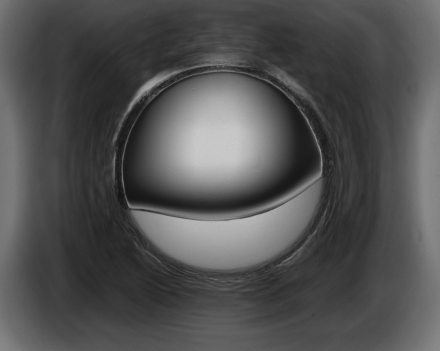 X0000086961222200704161116