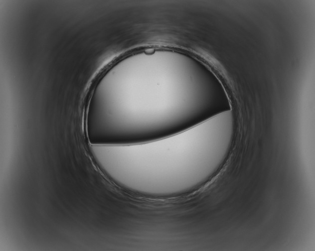 X0000086961224200704161116